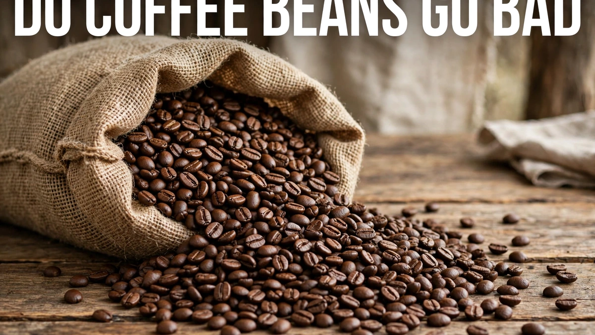 Do Coffee Beans Go Bad?