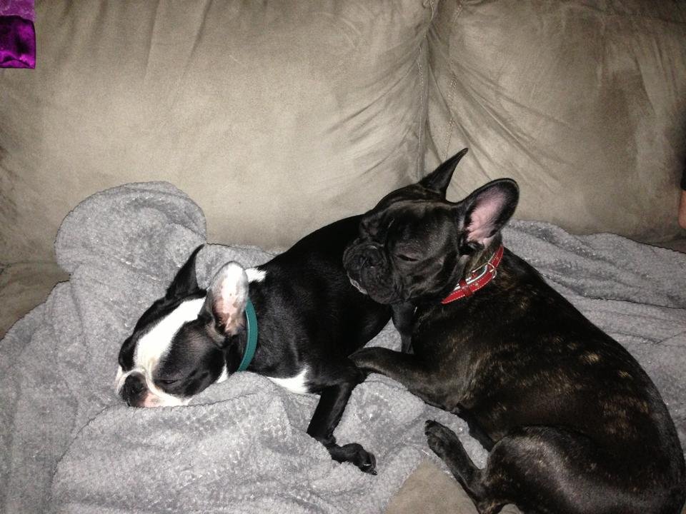What a nice pillow!