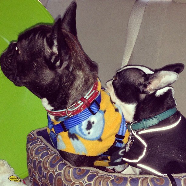 Best Friends