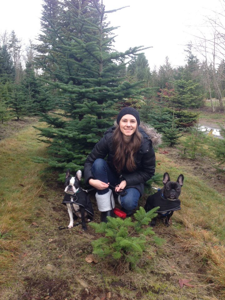 Christmas Tree Time!