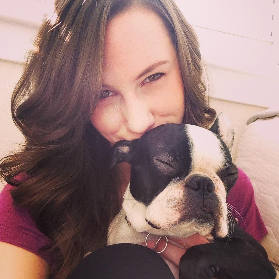 Gus the Boston Terrier