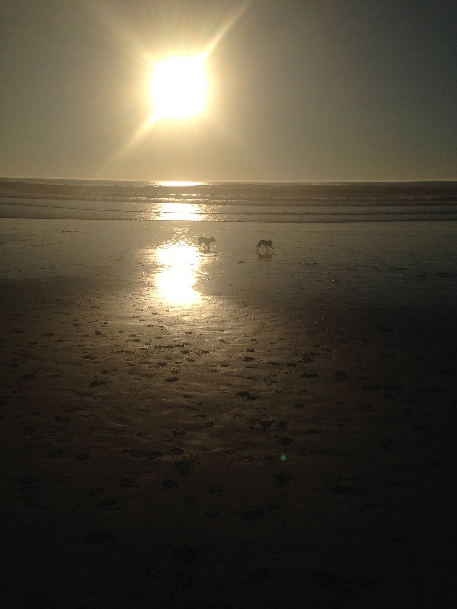 San Francisco trip photo (IMG_0332)