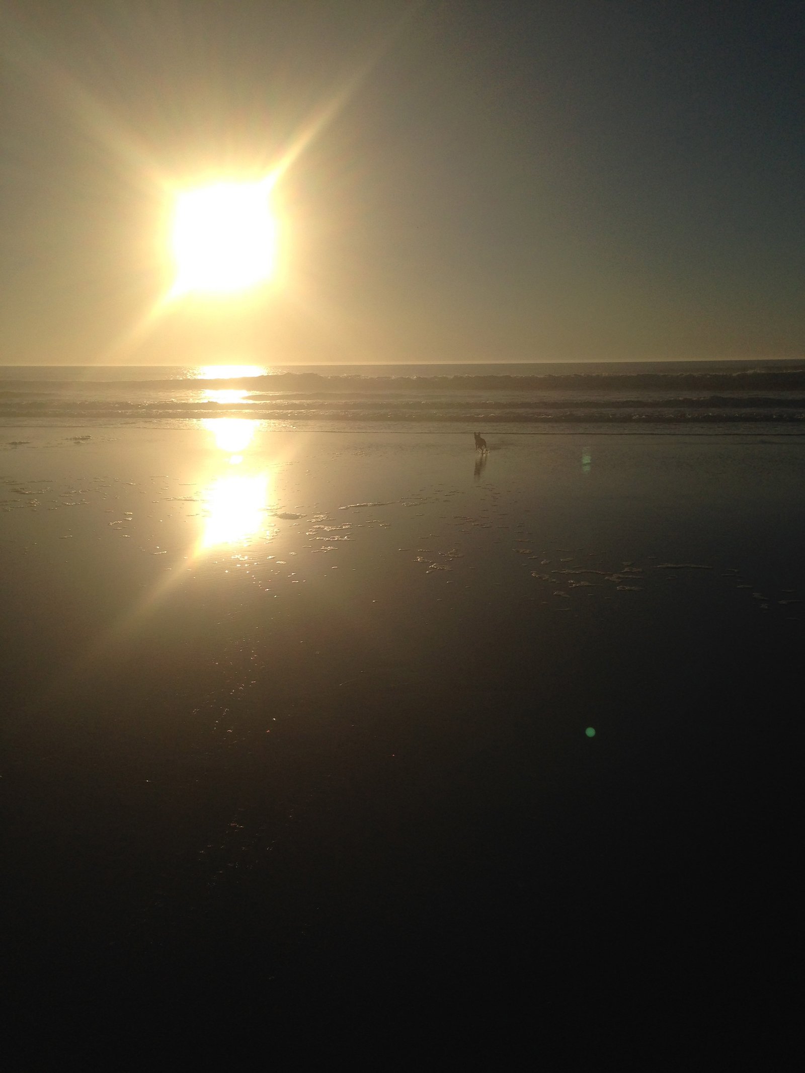 San Francisco trip photo (IMG_0383)