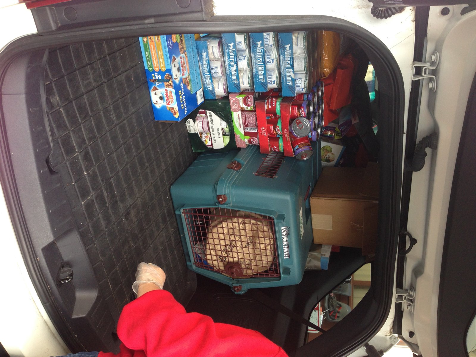 Food drive donations