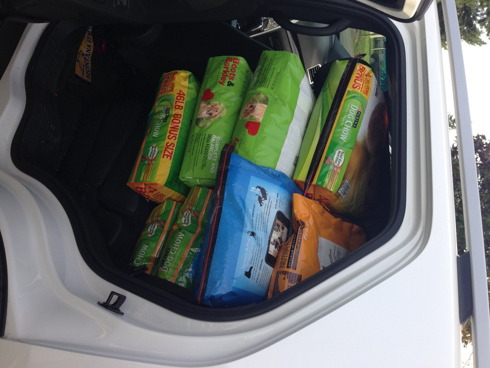 Dog food!