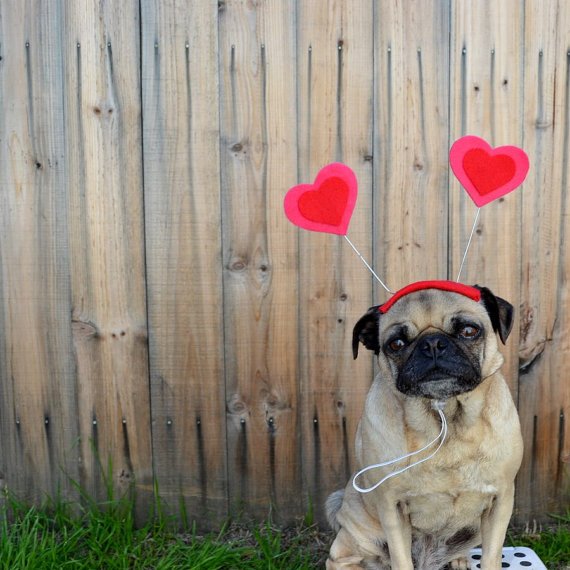 Love Bug Heart Hat